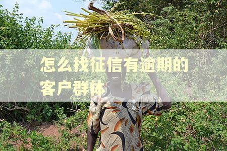 怎么找征信有逾期的客户群体