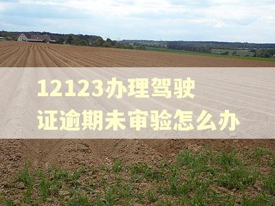 12123办理驾驶证逾期未审验怎么办