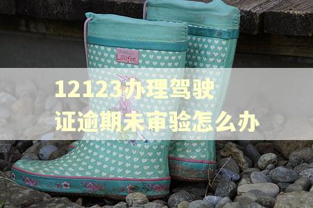 12123办理驾驶证逾期未审验怎么办