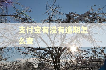 支付宝有没有逾期怎么查