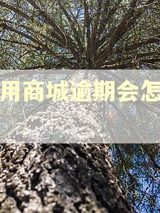 爱用商城逾期会怎么样