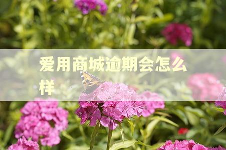 爱用商城逾期会怎么样