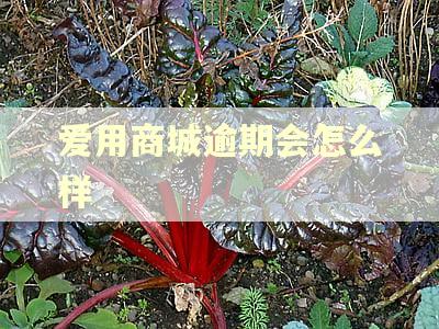 爱用商城逾期会怎么样