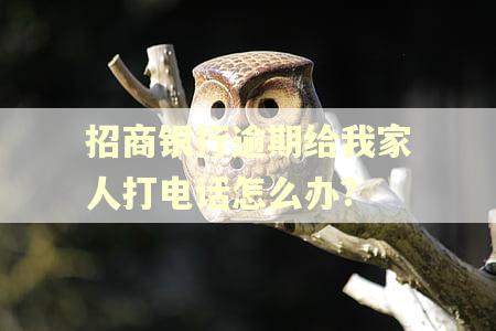 招商银行逾期给我家人打电话怎么办? 招商银行逾期给我家人打电话怎么办?