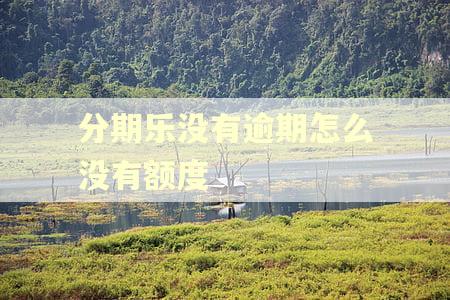 分期乐没有逾期怎么没有额度