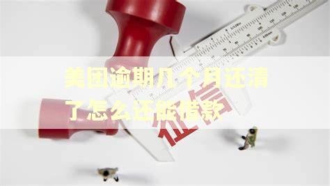 美团逾期几个月还清了怎么还能借款