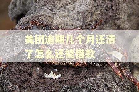 美团逾期几个月还清了怎么还能借款 美团逾期几个月还清了怎么还能借款