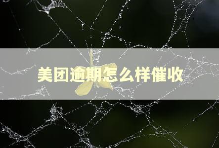 美团逾期怎么样催收