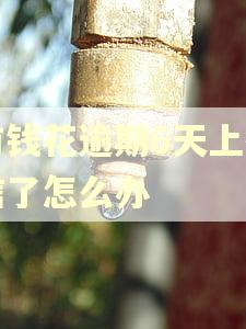 有钱花逾期6天上征信了怎么办