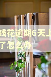 有钱花逾期6天上征信了怎么办