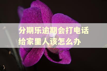 分期乐逾期会打电话给家里人该怎么办