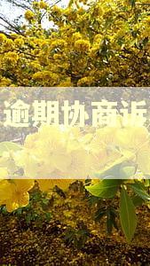 借呗逾期协商诉求怎么写