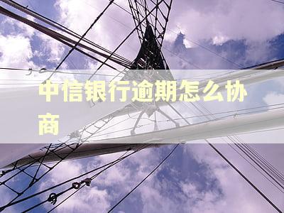 中信银行逾期怎么协商
