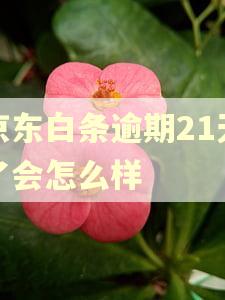 京东白条逾期21天了会怎么样