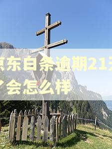 京东白条逾期21天了会怎么样