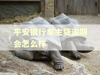 平安银行车主贷逾期会怎么样 平安银行车主贷逾期会怎么样