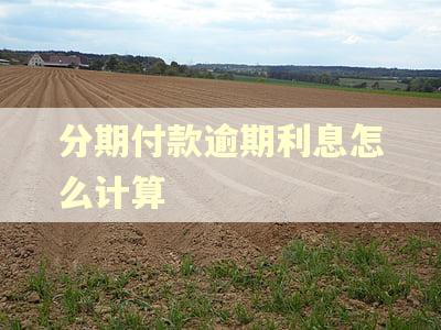 分期付款逾期利息怎么计算