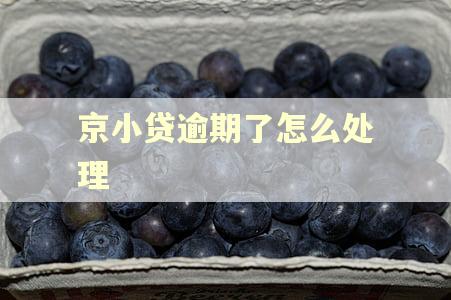 京小贷逾期了怎么处理