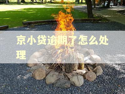 京小贷逾期了怎么处理