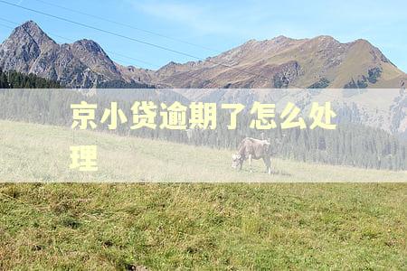 京小贷逾期了怎么处理