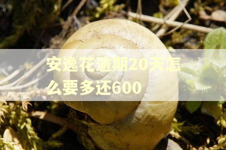 安逸花逾期20天怎么要多还600