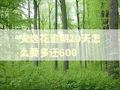 安逸花逾期20天怎么要多还600