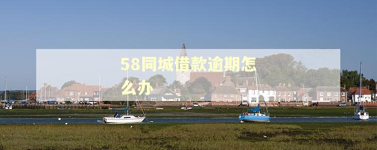 58同城借款逾期怎么办