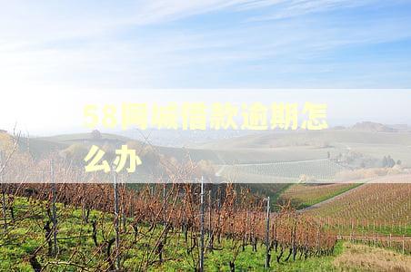 58同城借款逾期怎么办