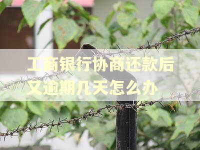 工商银行协商还款后又逾期几天怎么办