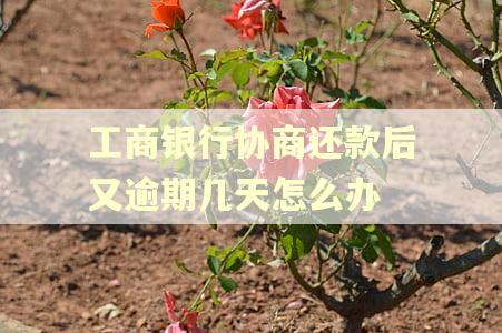 工商银行协商还款后又逾期几天怎么办