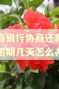 工商银行协商还款后又逾期几天怎么办