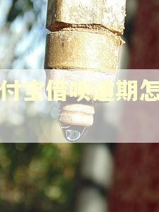 支付宝借呗逾期怎么办