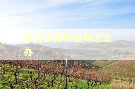 支付宝借呗逾期怎么办