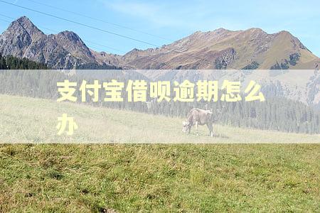 支付宝借呗逾期怎么办