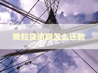 微粒贷逾期怎么还款