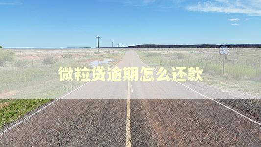 微粒贷逾期怎么还款