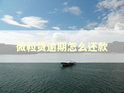 微粒贷逾期怎么还款