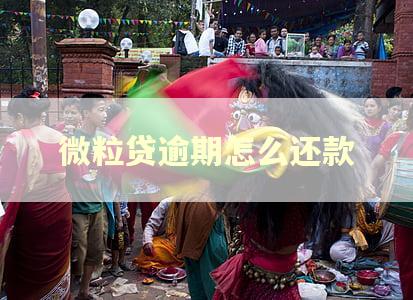 微粒贷逾期怎么还款