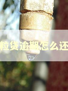 微粒贷逾期怎么还款 微粒贷逾期怎么还款