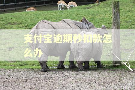 支付宝逾期秒扣款怎么办