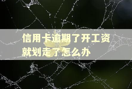 信用卡逾期了开工资就划走了怎么办