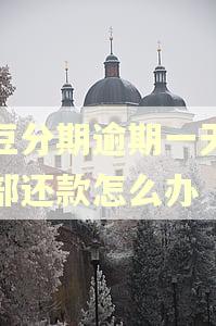 芸豆分期逾期一天要全部还款怎么办