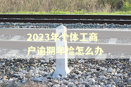 2023年个体工商户逾期年检怎么办