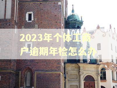 2023年个体工商户逾期年检怎么办