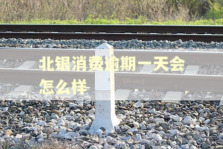 北银消费逾期一天会怎么样
