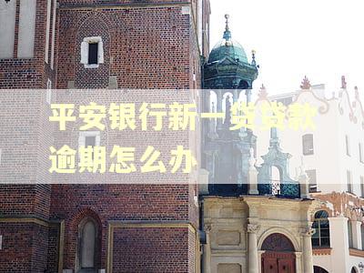 平安银行新一贷贷款逾期怎么办