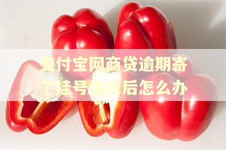 支付宝网商贷逾期寄了挂号信以后怎么办