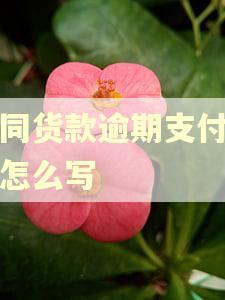 合同货款逾期支付利息怎么写