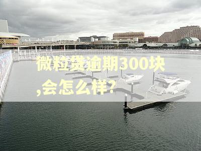 微粒贷逾期300块,会怎么样?