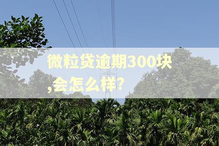 微粒贷逾期300块,会怎么样?